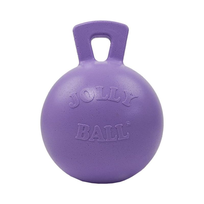 Juguete para Perro Jolly Pets 25 cm Lila Claro con Asa