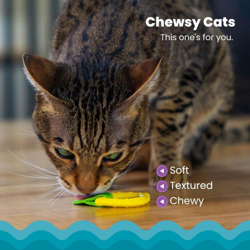 Juguete para gato Catstages 6 cm con hierba gatera y mordedor dental