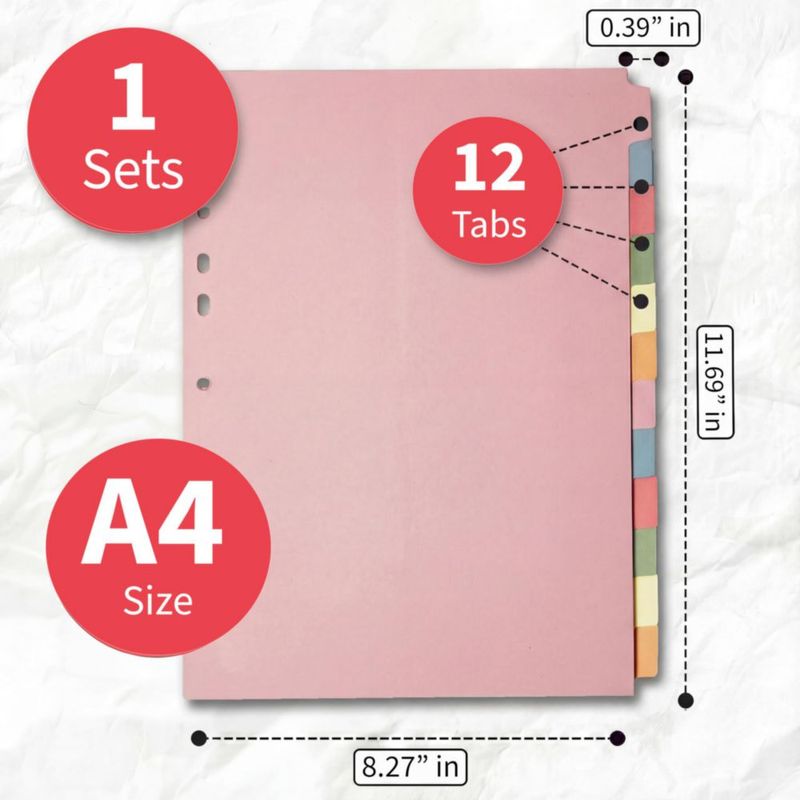 Separador de Carpeta A4 The Paper Shop – 12 Pestañas Escribibles