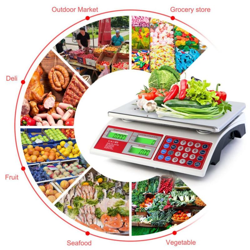 Balanza CAMRY 30 kg/66 lb Doble LCD