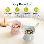 Comedero para Perro PAWSPIK Lynx Cerámico Alimentador Lento Azul Celeste