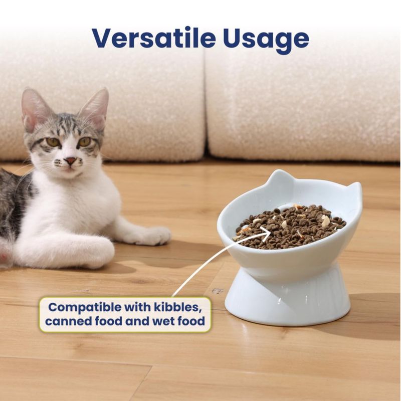 Comedero para Perro PAWSPIK Lynx Cerámico Alimentador Lento Azul Celeste