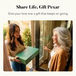 Marco digital Pexar 28 cm 2K Wi‑Fi sin cargos