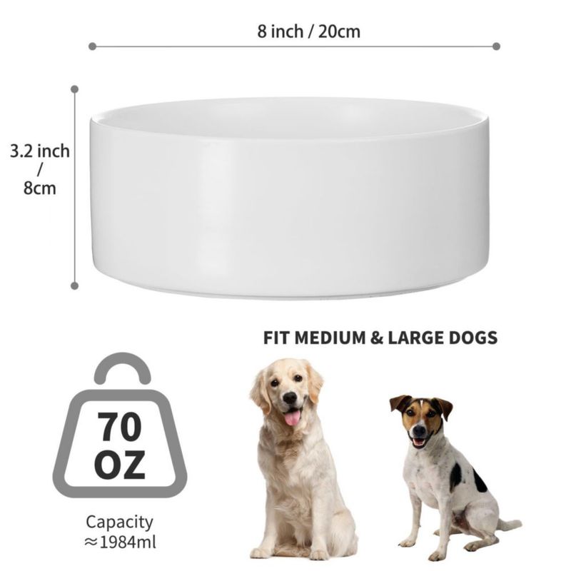 Cuenco para Perro Welloyed 20 cm 2000 ml Cerámico Blanco Apto para Lavavajillas