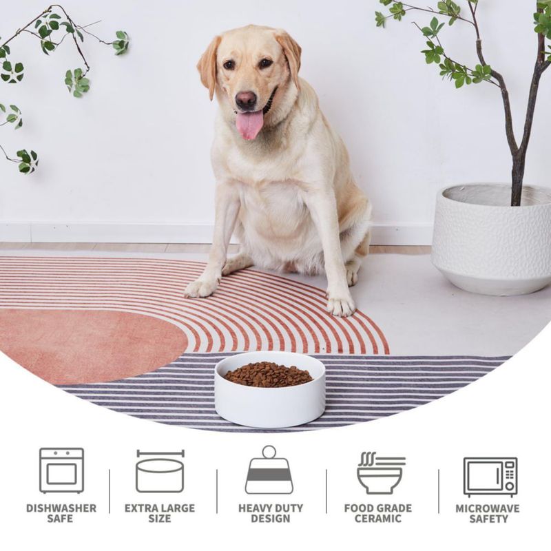 Cuenco para Perro Welloyed 20 cm 2000 ml Cerámico Blanco Apto para Lavavajillas