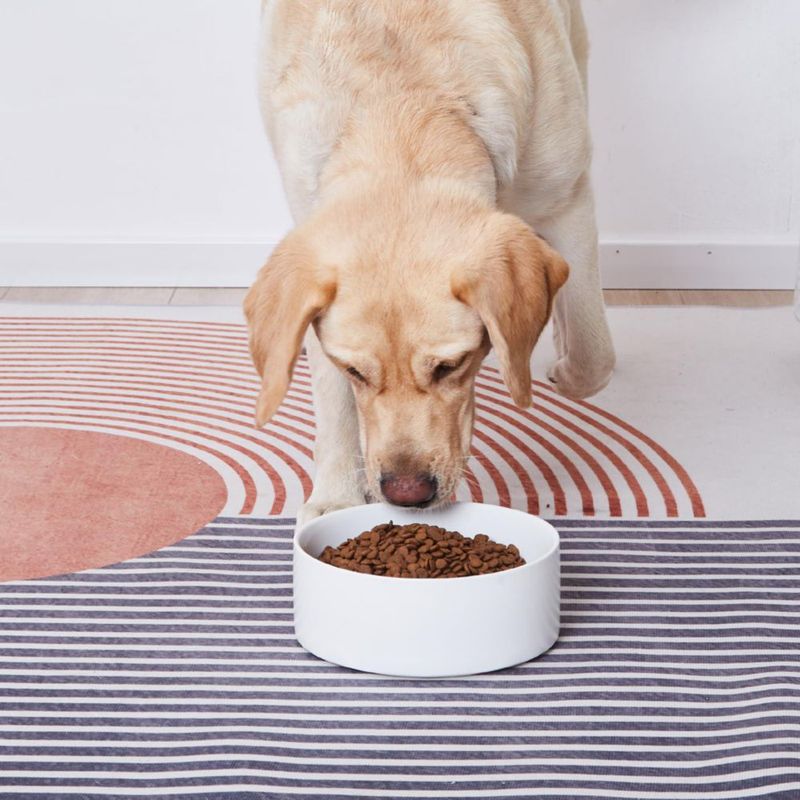Cuenco para Perro Welloyed 20 cm 2000 ml Cerámico Blanco Apto para Lavavajillas