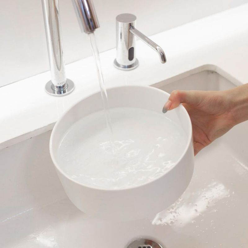 Cuenco para Perro Welloyed 20 cm 2000 ml Cerámico Blanco Apto para Lavavajillas