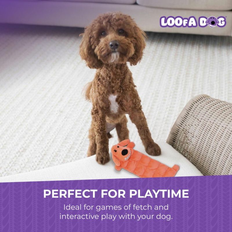 Alfombrilla de peluche para perros con múltiples mascotas Loofa Squeaky 30 cm suave