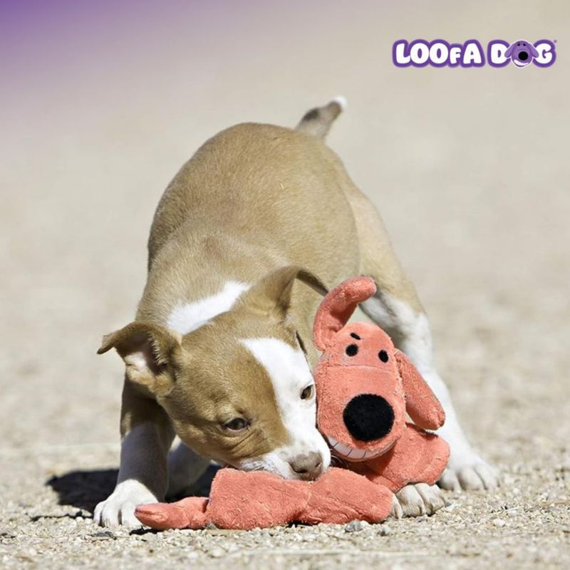 Alfombrilla de peluche para perros con múltiples mascotas Loofa Squeaky 30 cm suave