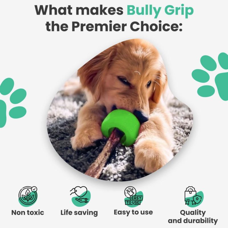 Juguete Interactivo Bully Grip Pequeño con Soporte para Golosinas