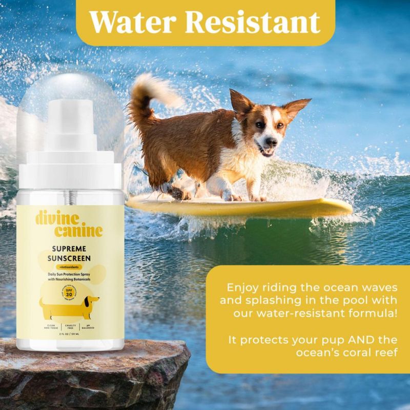 Kit de Protector Solar Divine Canine SPF 30 – Set de Regalo