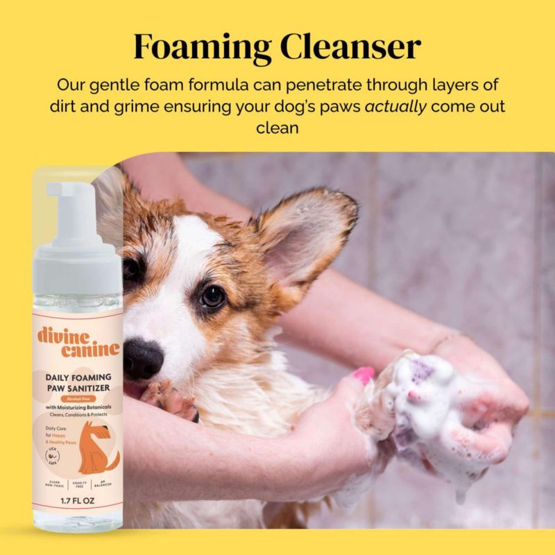 Kit de Protector Solar Divine Canine SPF 30 – Set de Regalo