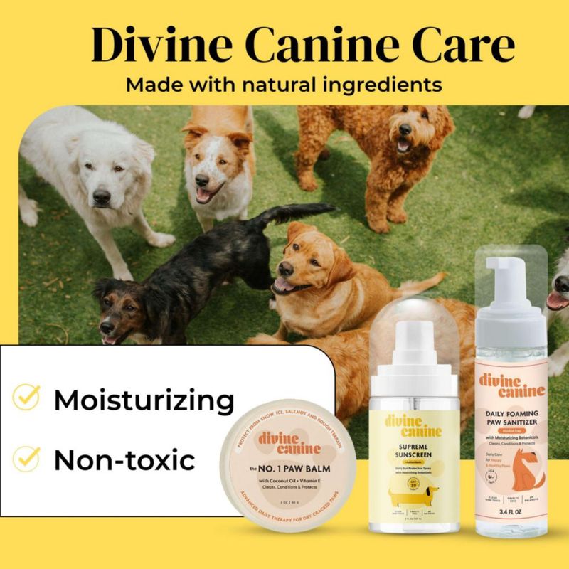 Kit de Protector Solar Divine Canine SPF 30 – Set de Regalo