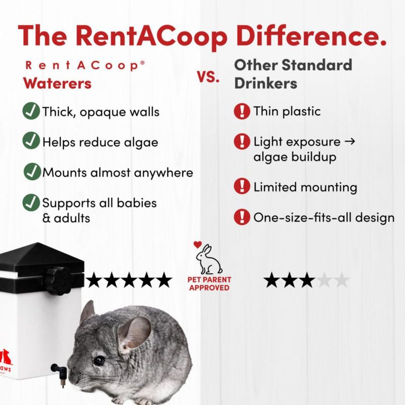 Bebedero para Animales RentACoop 2 L sin Goteo con Boquilla de Latón
