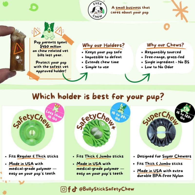 Soporte para Pata de Bully EverChew 15 cm (para perros de 7‑18 kg)