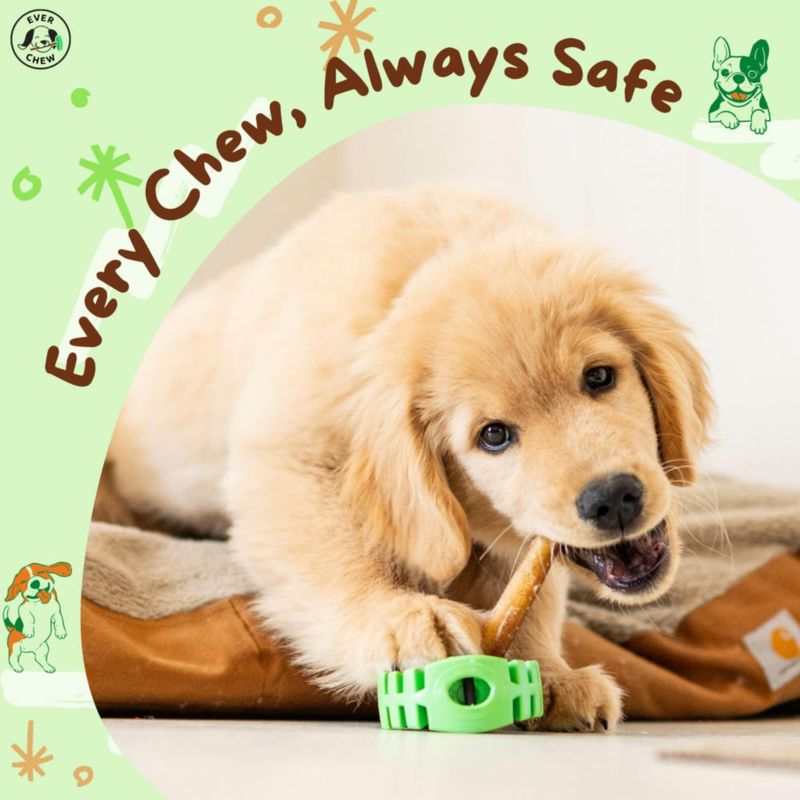 Soporte para Pata de Bully EverChew 15 cm (para perros de 7‑18 kg)