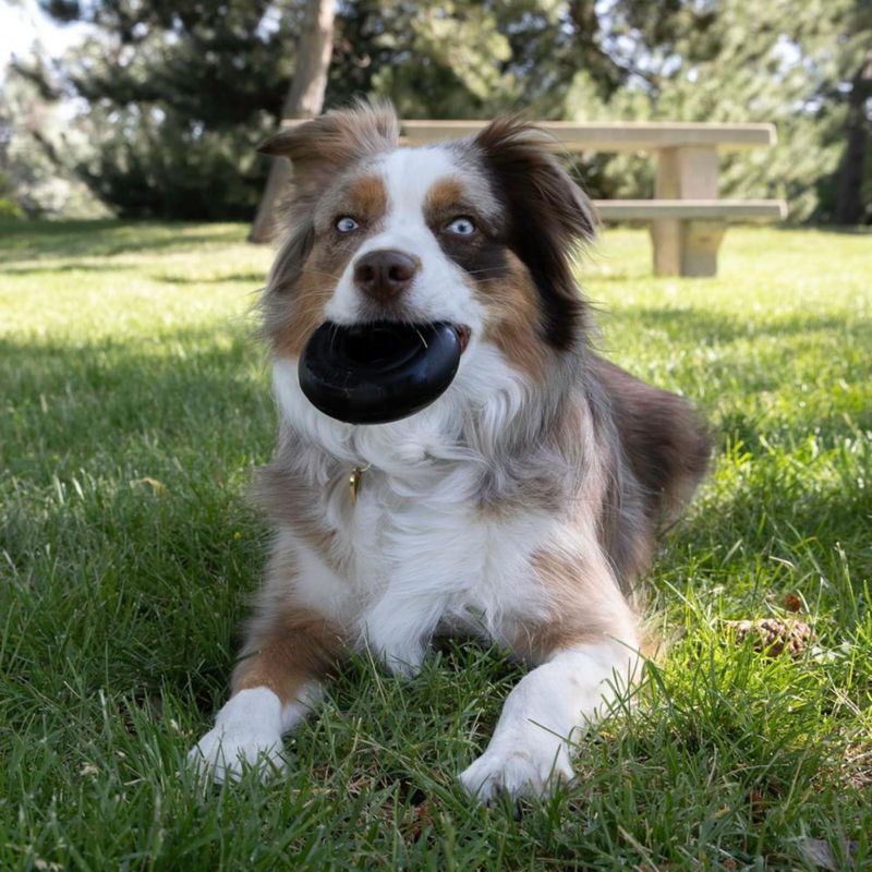 Juguete de masticar KONG Extreme Donut para perros medianos y grandes (13‑30 kg)