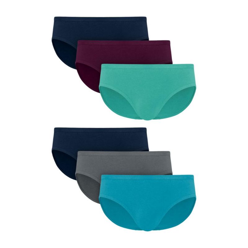 Calzoncillos Hanes estilo bikini pack de 6 algodón-elástico absorción de humedad