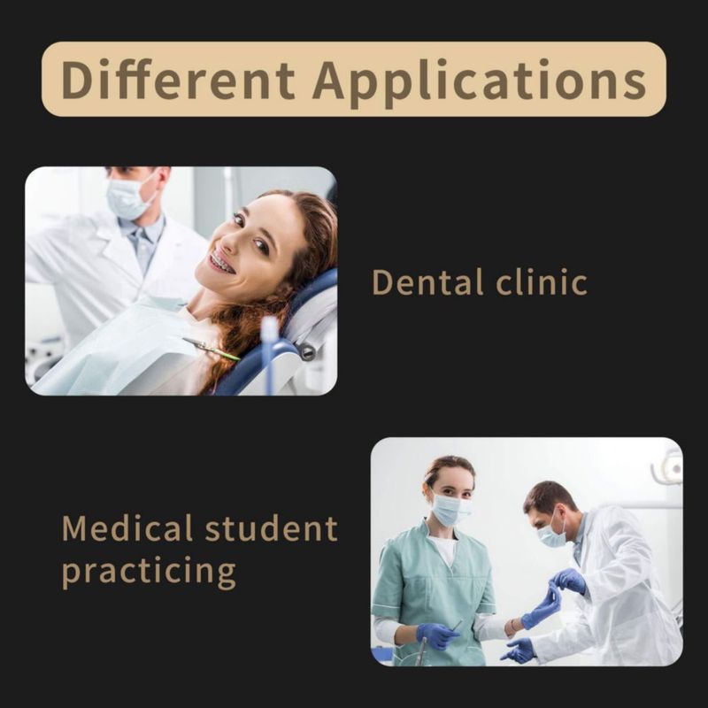 Pinza de Corte Distal Ortodóntica Annhua – Herramienta Dental Quirúrgica