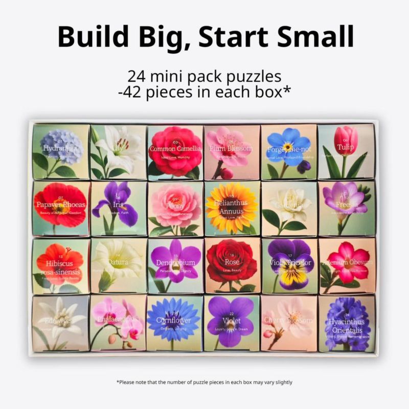 PUZZLES rokt&razo 1000 piezas rompecabezas diario (24 paquetes)