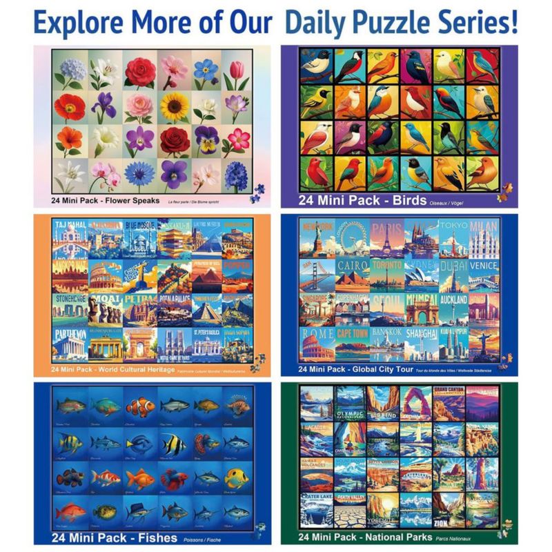 PUZZLES rokt&razo 1000 piezas rompecabezas diario (24 paquetes)
