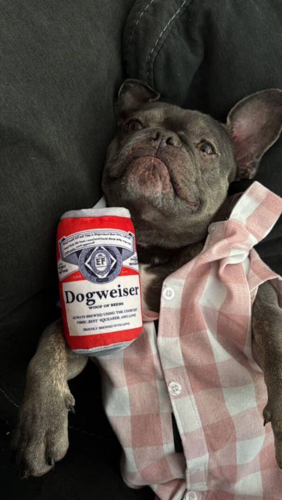 Juguetes para Perro Nocciola: Nevera de Cerveza con Silbido y Set de Latas