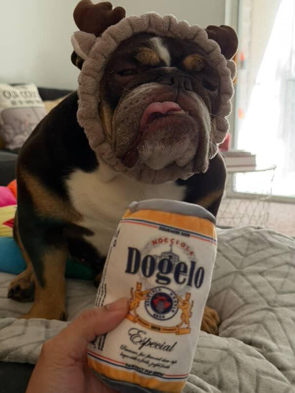 Juguetes para Perro Nocciola: Nevera de Cerveza con Silbido y Set de Latas