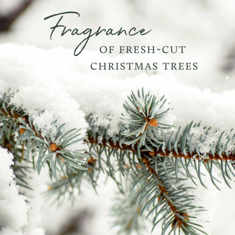Vela Thymes Frasier Fir 185 g Frasco de Vidrio Verde