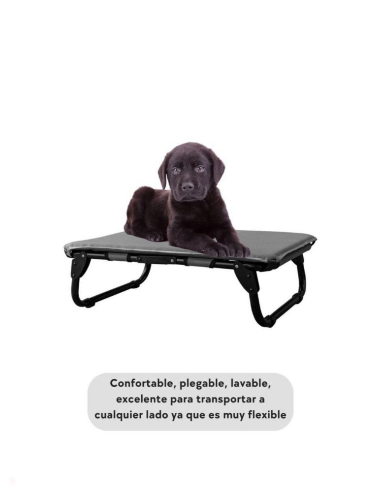 KIT Catre/Cama + Colchoneta Pegaso para Mascotas Chico Modelo KIT KM-CH GRIS
