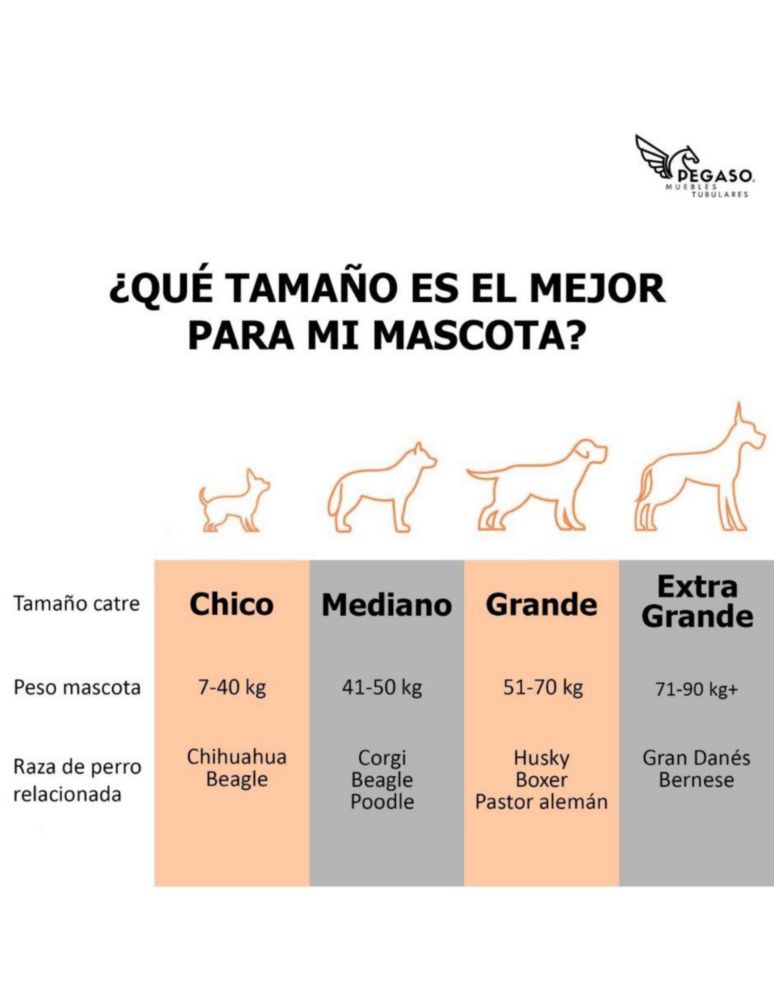 KIT Catre/Cama + Colchoneta Pegaso para Mascotas Chico Modelo KIT KM-CH REY