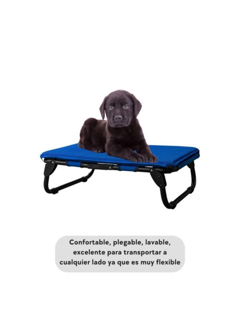 KIT Catre/Cama + Colchoneta Pegaso para Mascotas Chico Modelo KIT KM-CH REY