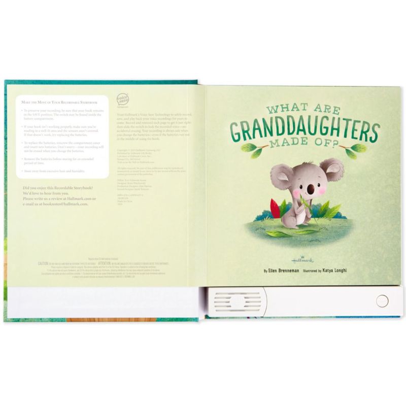 Libro Grabable Hallmark 22x26 cm para Nietas