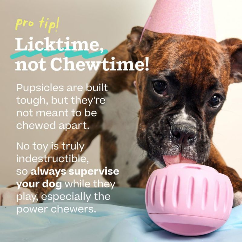 Paquete Pupsicle WOOF Pequeño Rosa + Recargas de Cumpleaños