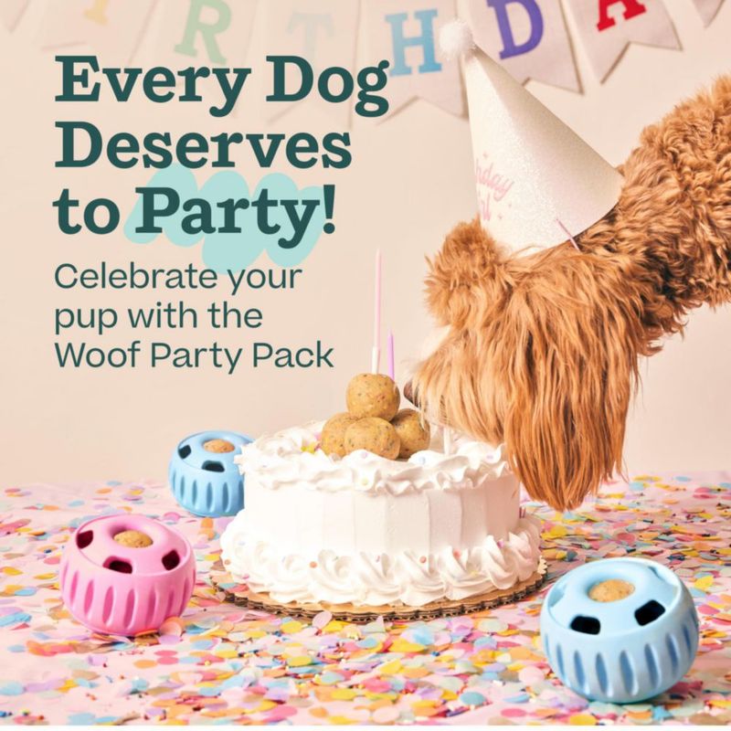 Pupsicle WOOF XL Rosa + Pack de Pops de Cumpleaños