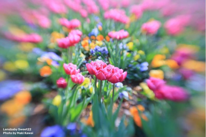 Lente Lensbaby Sweet 22 para Fuji X con filtro de 67 mm
