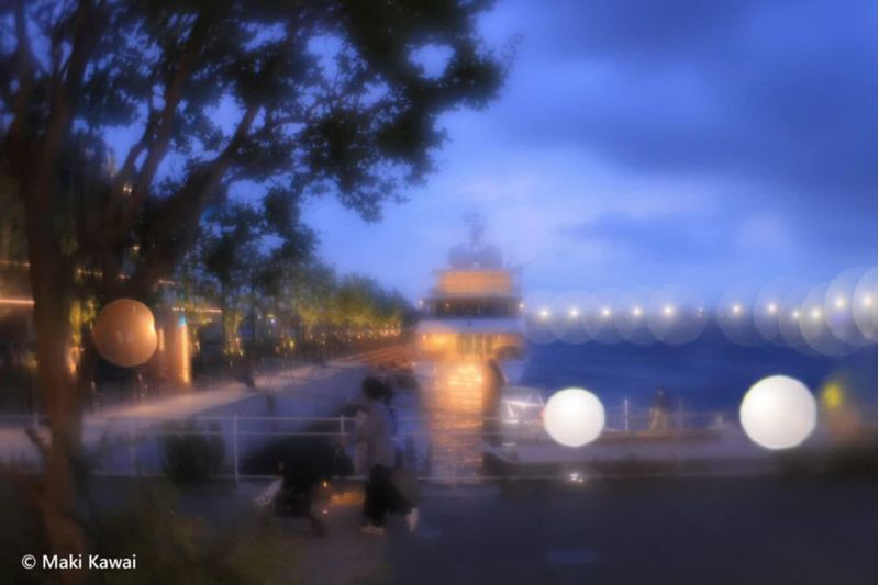 Objetivo Lensbaby Composer Pro II para montura X