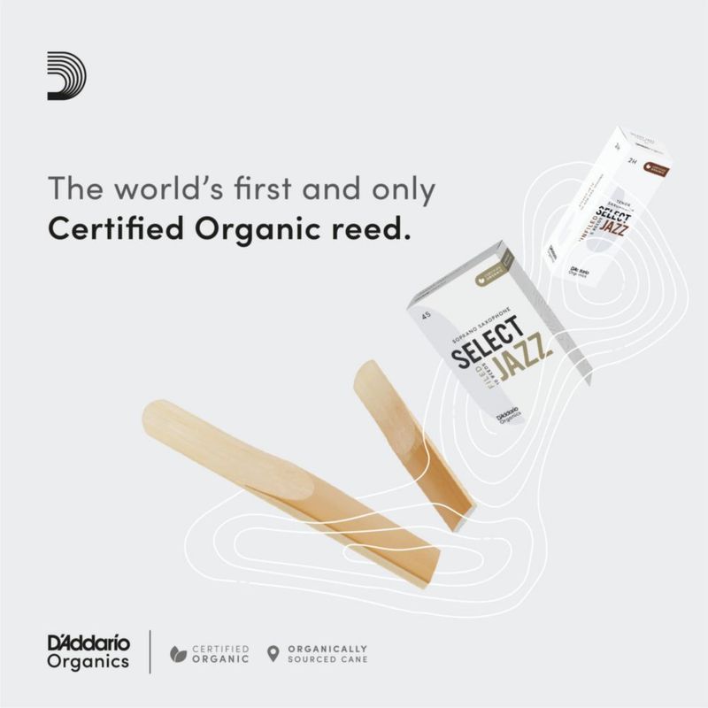 Cañas para saxofón D'Addario Organic Jazz sin ranurar – Pack de 10