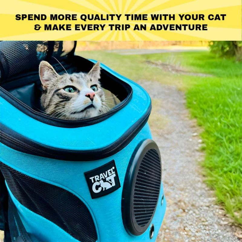 Mochila transportadora para gatos The Fat Cat aprobada por aerolíneas con ventana burbuja