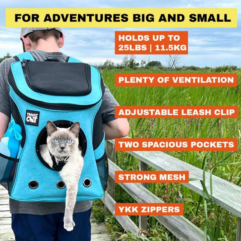 Mochila transportadora para gatos The Fat Cat aprobada por aerolíneas con ventana burbuja