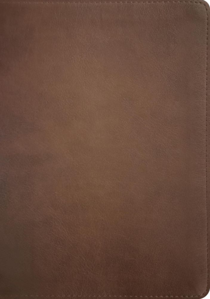 Biblia Tyndale House NLT Life Recovery – Cubierta de imitación de cuero marrón rústico