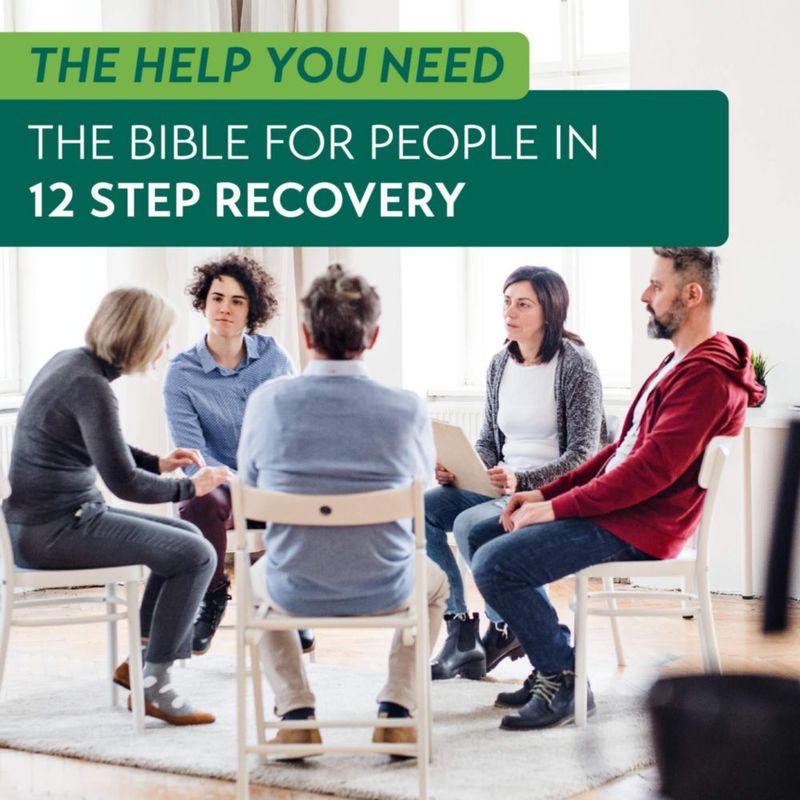 Biblia Tyndale House NLT Life Recovery – Cubierta de imitación de cuero marrón rústico