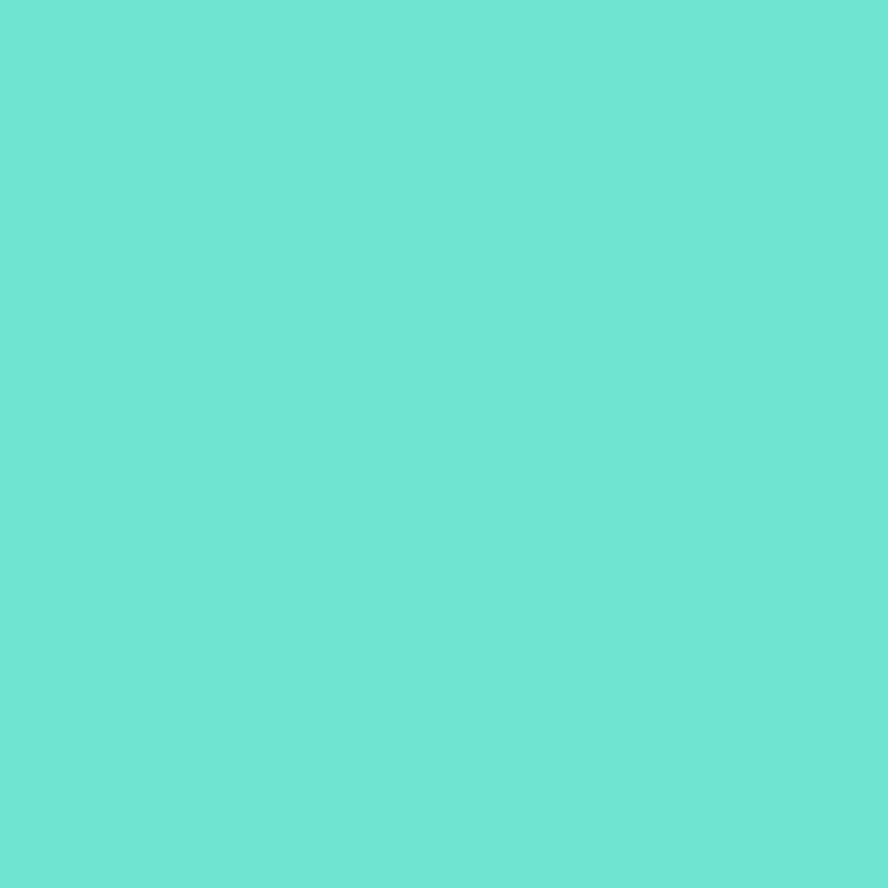 Vinilo Cricut Smart Menta 33 cm × 90 cm Impermeable y Resistente a los Rayos UV