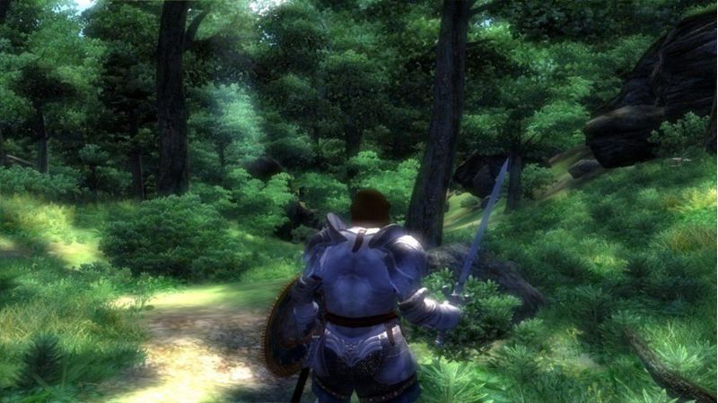 Oblivion Edición Juego del Año para PC – Bethesda