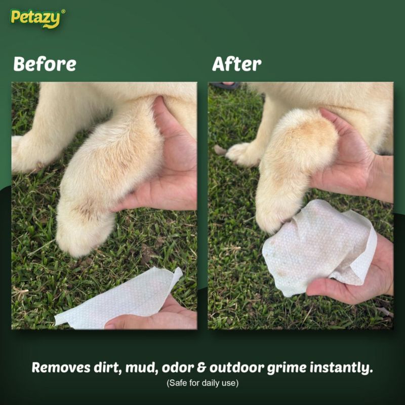 Toallitas Petazy 100 unidades para limpieza de perros y gatos