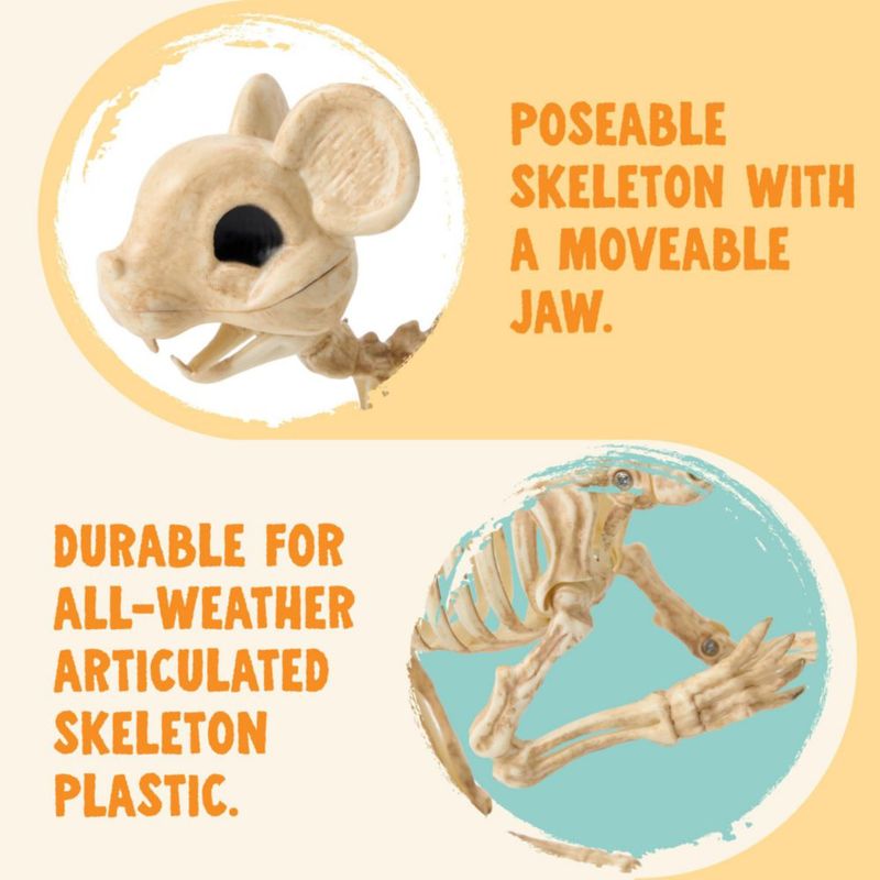Esqueleto de ratón JOYIN de 24 cm con queso – decoración de Halloween
