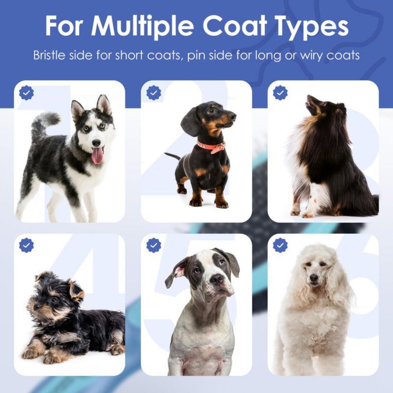 Cepillo de Doble Cara para Perros American Kennel Club con Cerdas y Pinchos