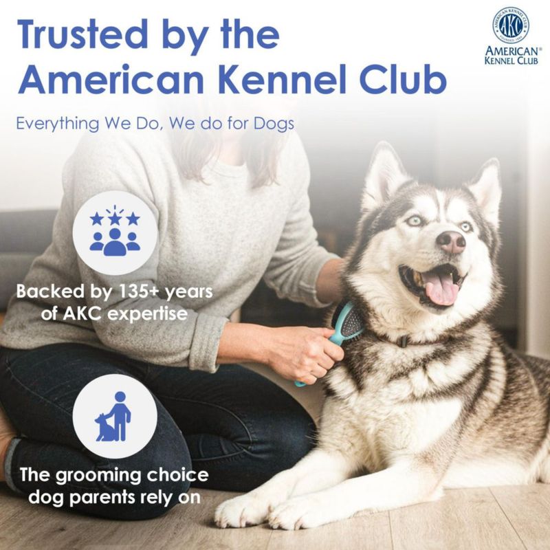 Cepillo de Doble Cara para Perros American Kennel Club con Cerdas y Pinchos