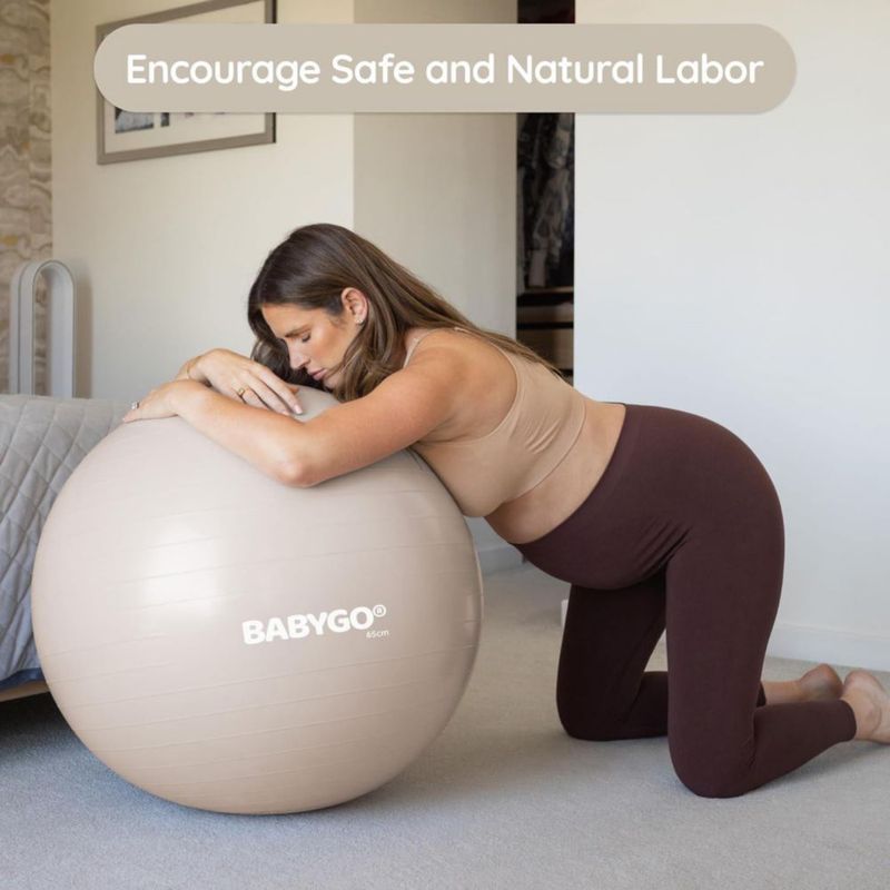 Bola de Parto BABYGO 65/75 cm con Libro Incluido