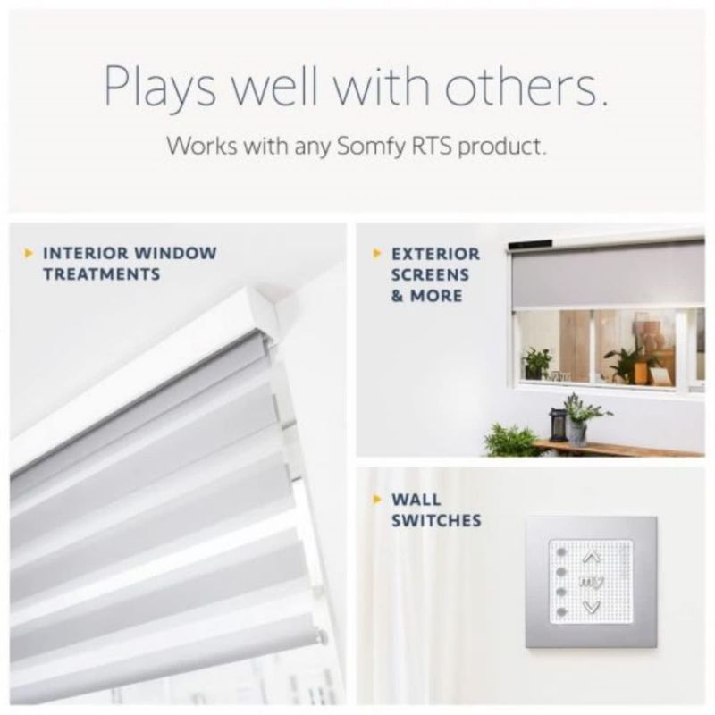 Control remoto inalámbrico Somfy Telis 1 RTS