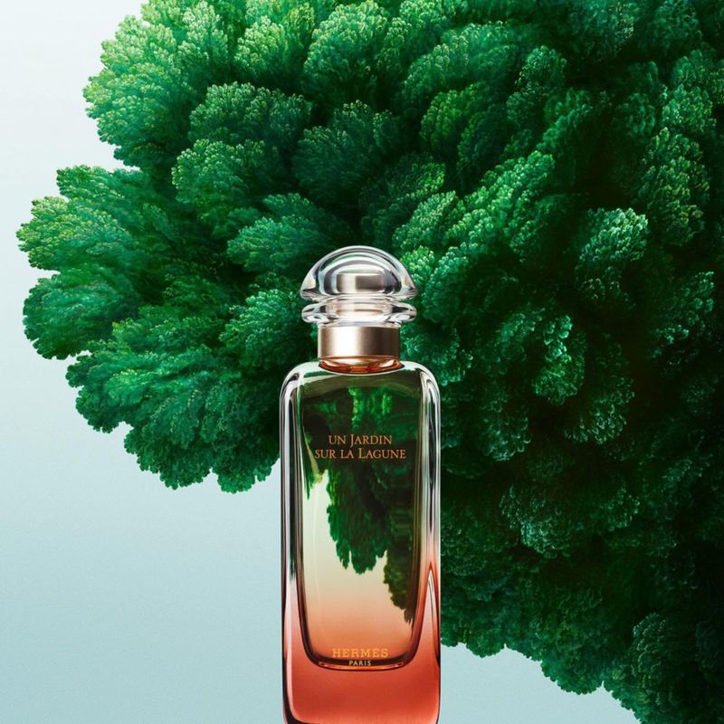 Perfume Hermes Un Jardin Sur La Lagune Eau de toilette 100 ml